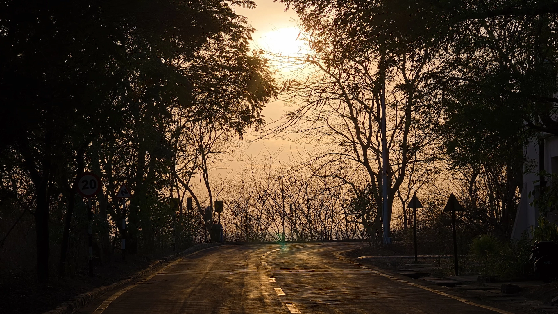 Evening View